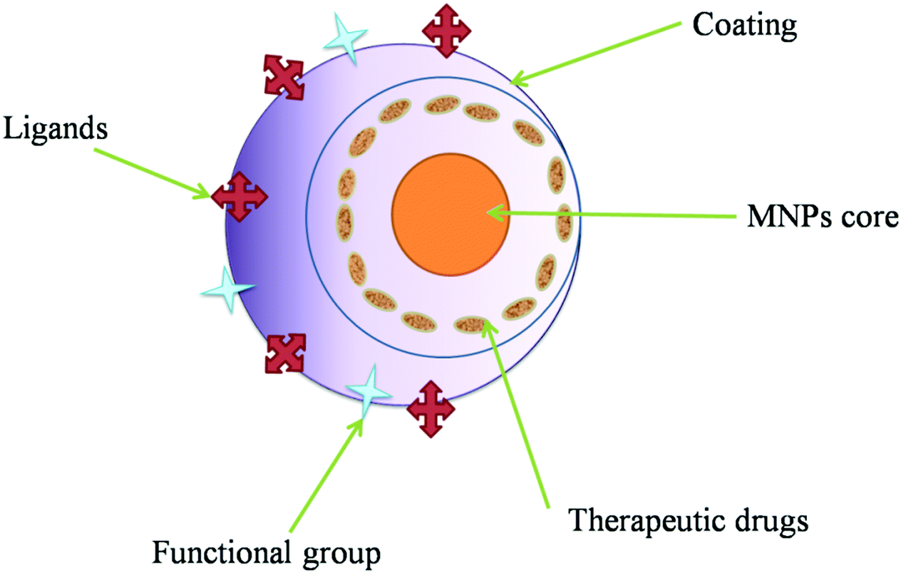 Magnetic nanoparticles applied in Magnetic Hyperthermia – Resonant