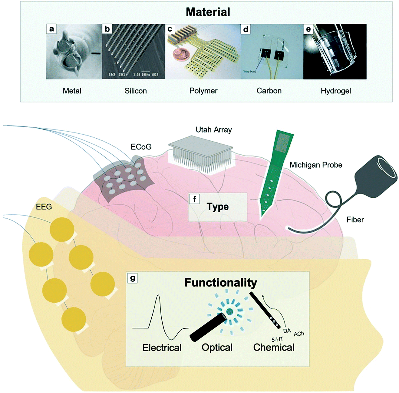Multimaterial And Multifunctional Neural Interfaces From