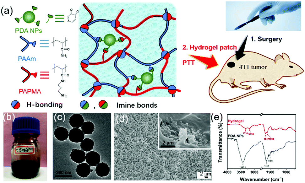 Bioinspired Tissue Compliant Hydrogels With Multifunctions For Synergistic Surgery Photothermal Therapy Journal Of Materials Chemistry B Rsc Publishing