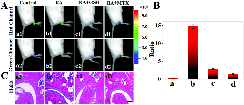 A Rapid Response Near Infrared Ratiometric Fluorescent Probe For The Real Time Tracking Of Peroxynitrite For Pathological Diagnosis And Therapeutic Assessment In A Rheumatoid Arthritis Model Journal Of Materials Chemistry B Rsc Publishing