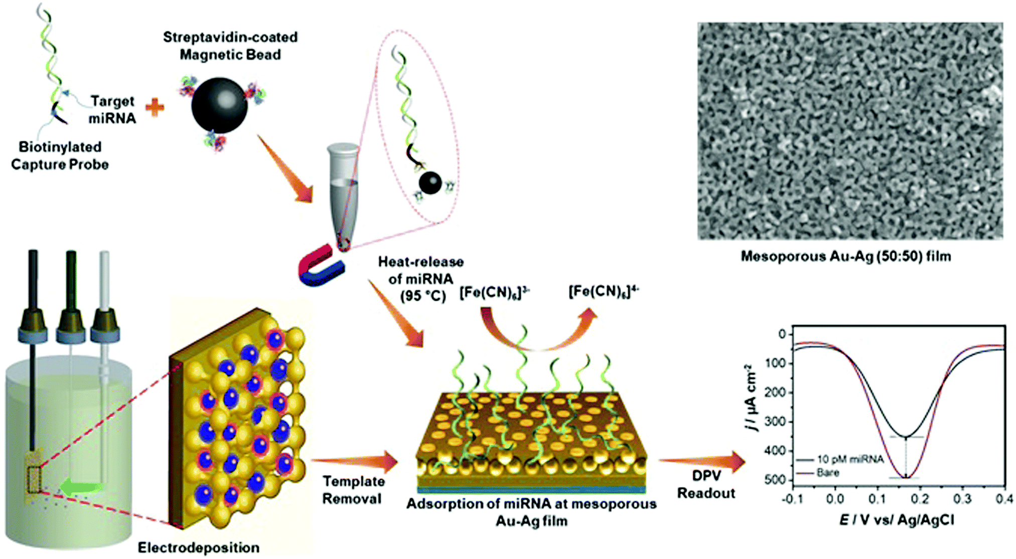 Mesoporous Gold Silver Alloy Films Towards Amplification Free Ultra Sensitive Microrna Detection Journal Of Materials Chemistry B Rsc Publishing