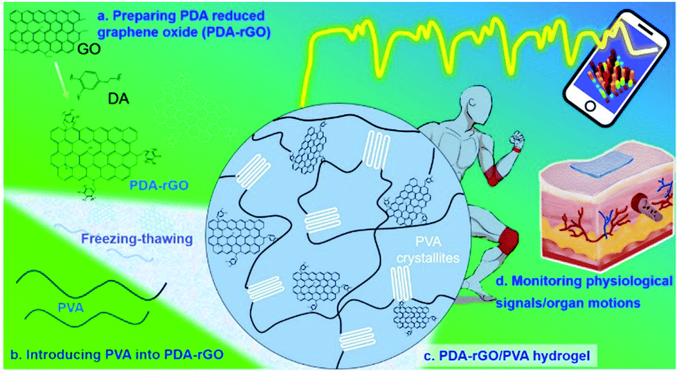 Biomimetic Epidermal Sensors Assembled From Polydopamine Modified Reduced Graphene Oxide Polyvinyl Alcohol Hydrogels For The Real Time Monitoring Of Human Motions Journal Of Materials Chemistry B Rsc Publishing