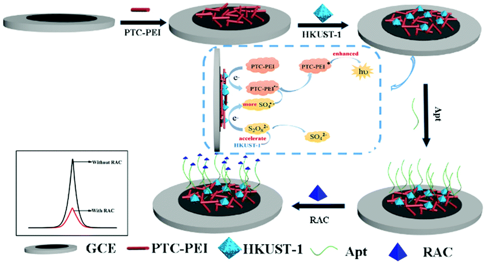 A Highly Enhanced Electrochemiluminescence Luminophore Generated By A Metal Organic Framework Linked Perylene Derivative And Its Application For Racto Analyst Rsc Publishing Doi 10 1039 D0ane