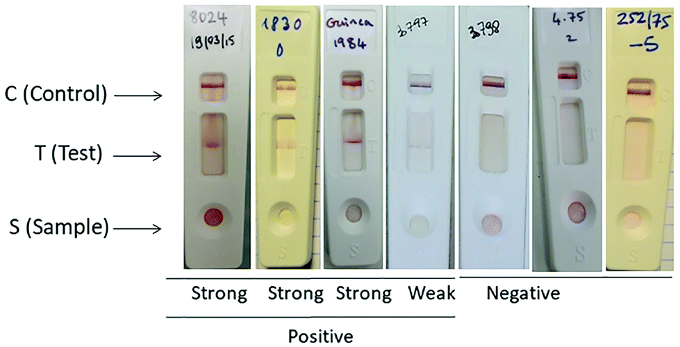 La FAOP Dispositif de test de l'alcool pour les tests de haute précision -  Chine Test de diagnostic rapide, test