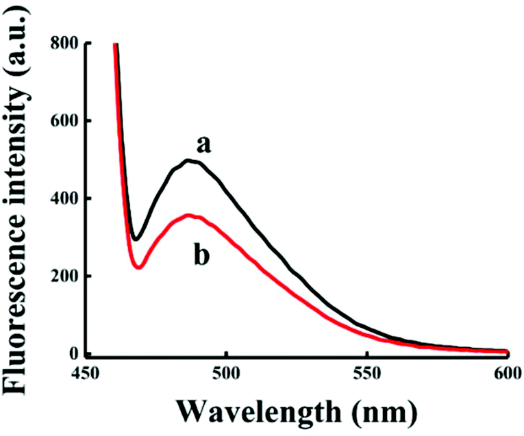 Fluorescence spectra of NMM-probe DNA after incubation with varying