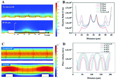 image file: d1an01061a-f2.tif