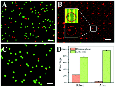 image file: d1an01061a-f4.tif