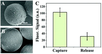 image file: d1an01061a-f9.tif
