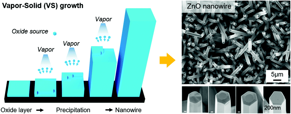 Nanowire-based sensor electronics for chemical and biological 