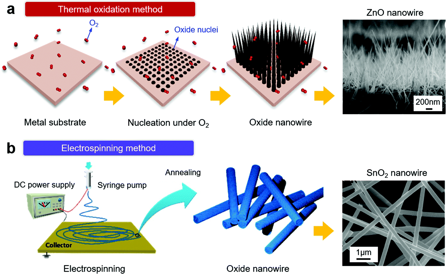 Nanowire-based sensor electronics for chemical and biological 
