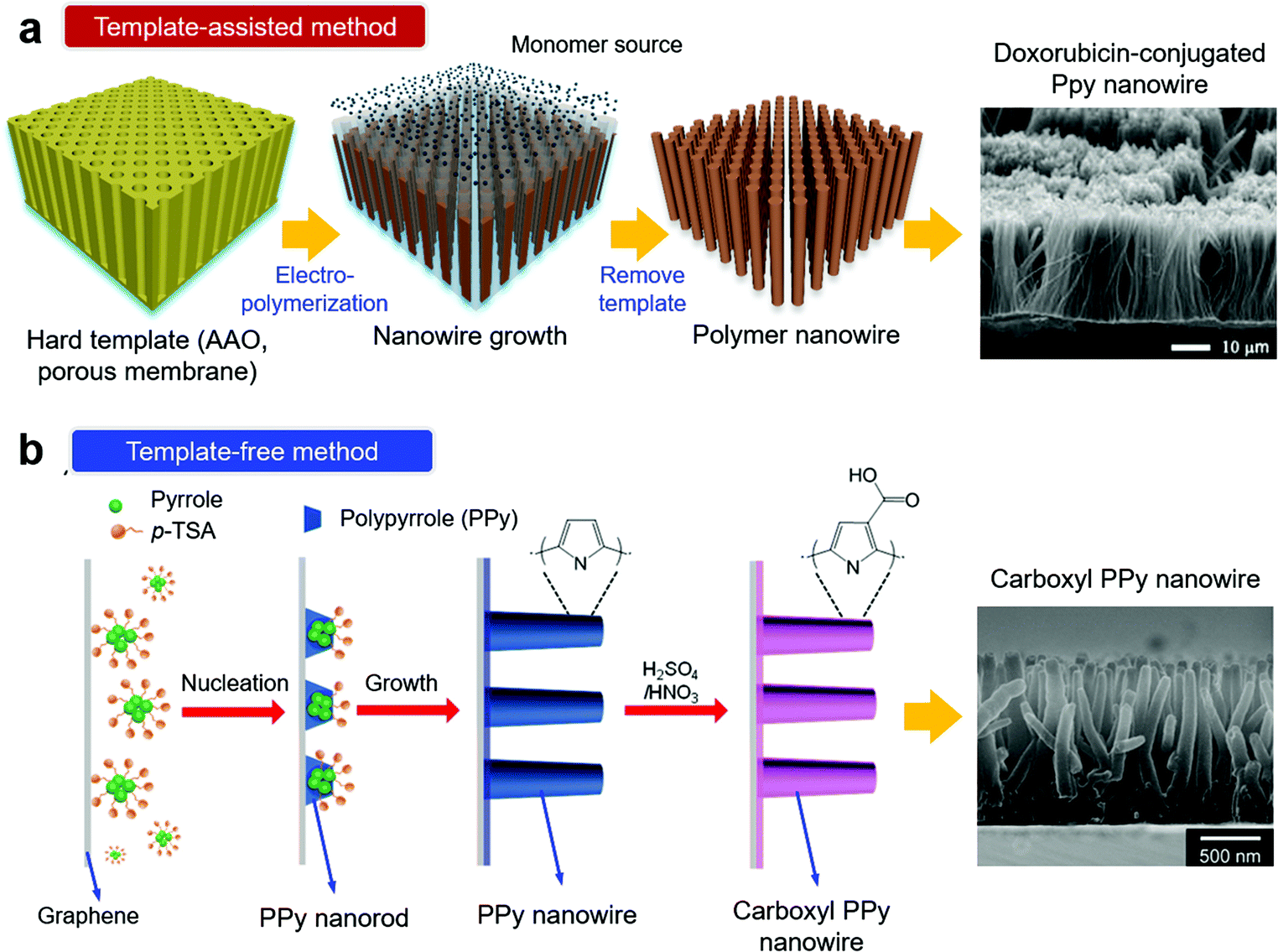 Nanowire-based sensor electronics for chemical and biological 