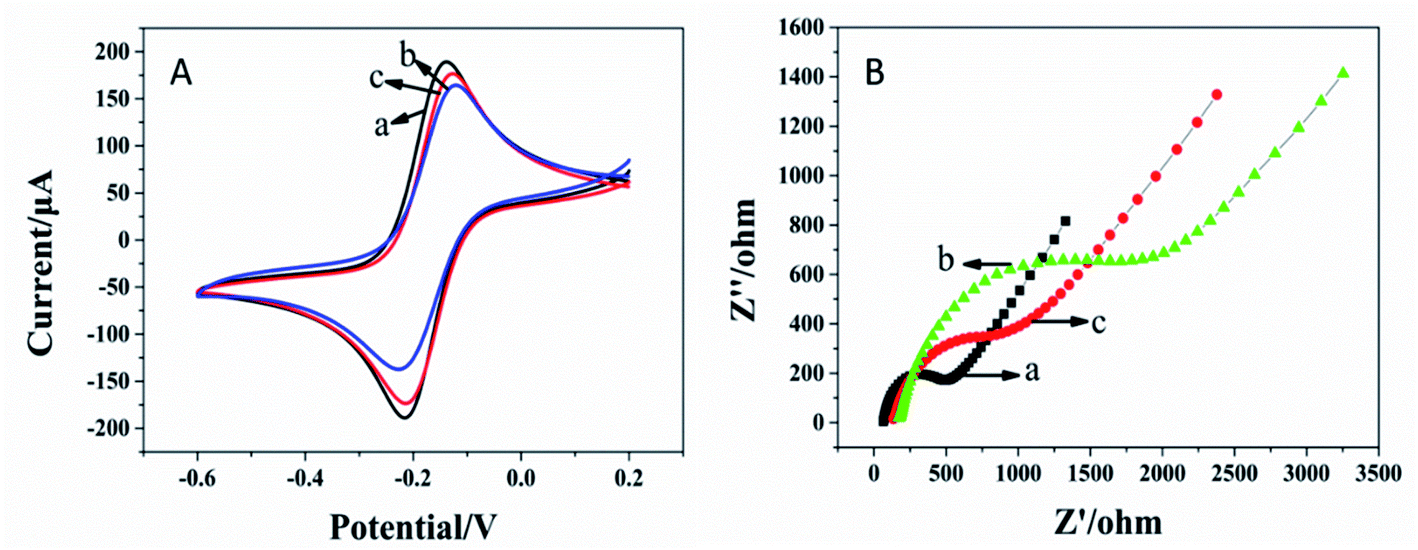 Supramolecular Assembly Induced Chiral Interface For Electrochemical Recognition Of Tryptophan Enantiomers Analytical Methods Rsc Publishing Doi 10 1039 D1ayh