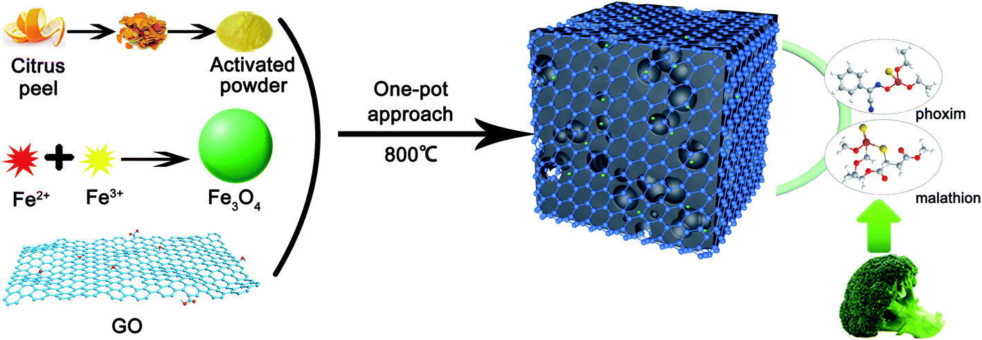 Enhanced adsorption of malathion and phoxim by a three-dimensional 