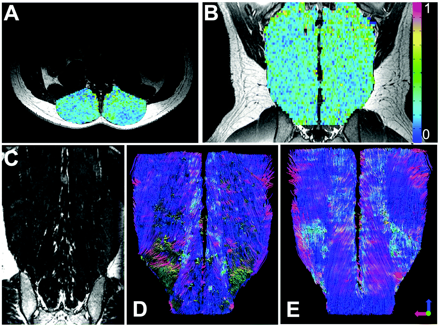 Medical Imaging Of Tissue Engineering And Regenerative Medicine Constructs Biomaterials Science Rsc Publishing Doi 10 1039 D0bm00705f