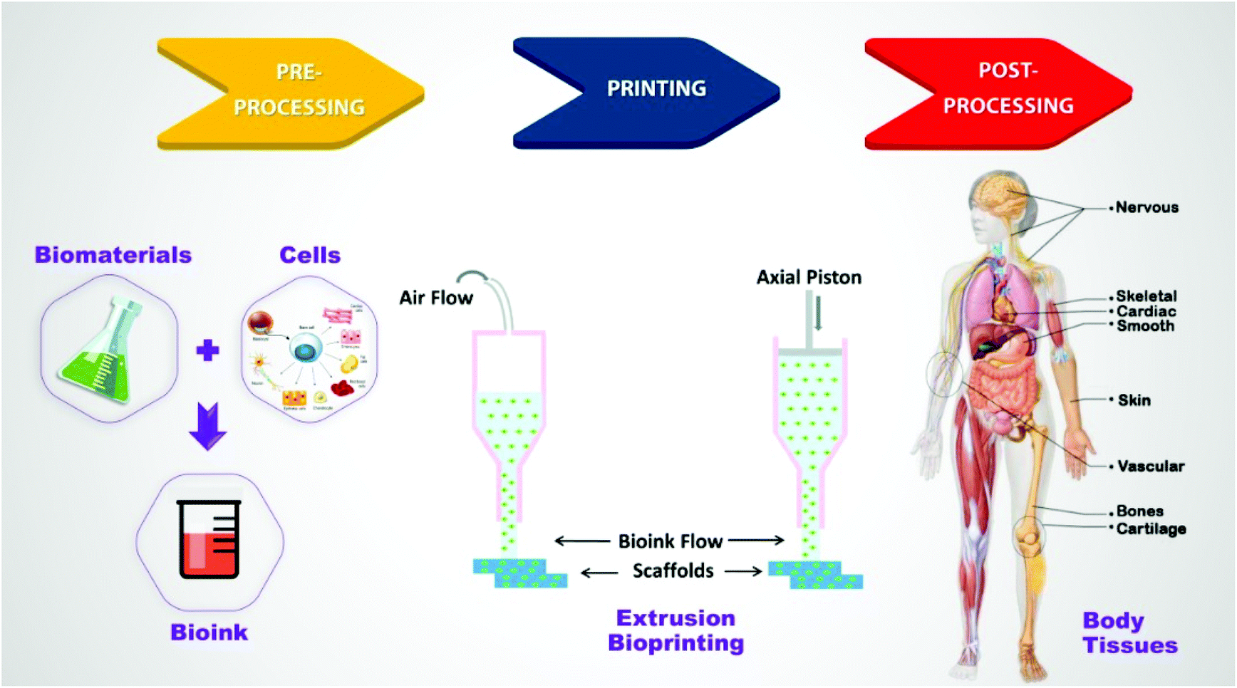 Recent progress in extrusion 3D bioprinting of hydrogel 