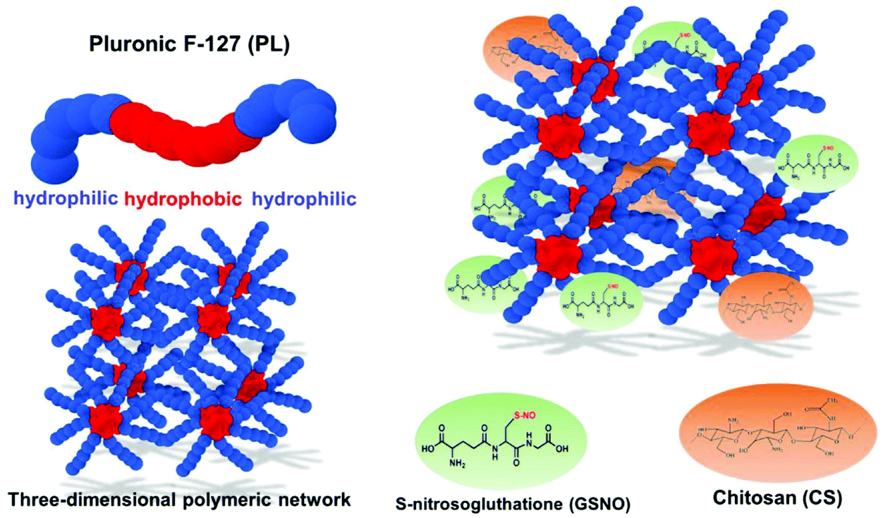 More Than Skin Deep Using Polymers To Facilitate Topical Delivery Of Nitric Oxide Biomaterials Science Rsc Publishing Doi 10 1039 D0bme