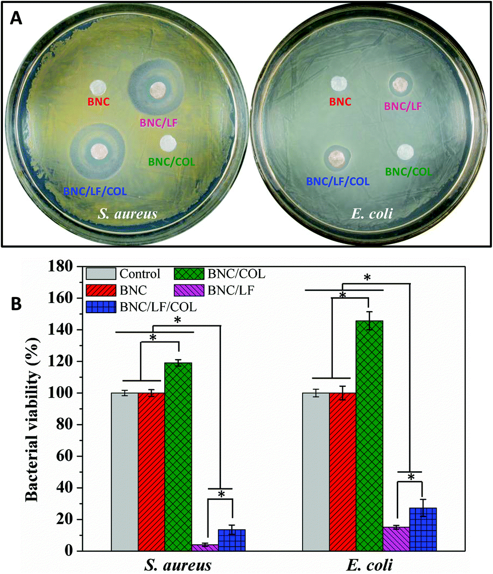 Homogeneous And Efficient Production Of A Bacterial Nanocellulose Lactoferrin Collagen Composite Under An Electric Field As A Matrix To Promote Wound Biomaterials Science Rsc Publishing Doi 10 1039 D0bma
