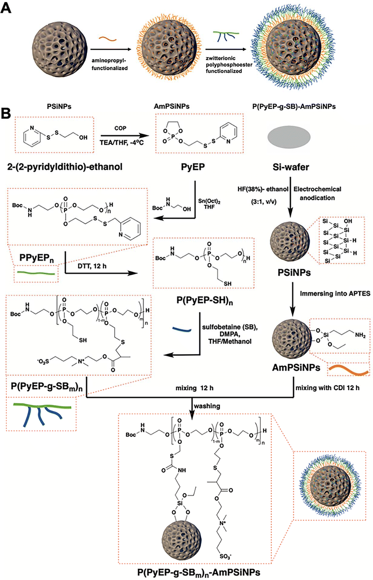 Bioinspired Zwitterionic Polyphosphoester Modified Porous Silicon Nanoparticles For Efficient Oral Insulin Delivery Biomaterials Science Rsc Publishing Doi 10 1039 D0bmh