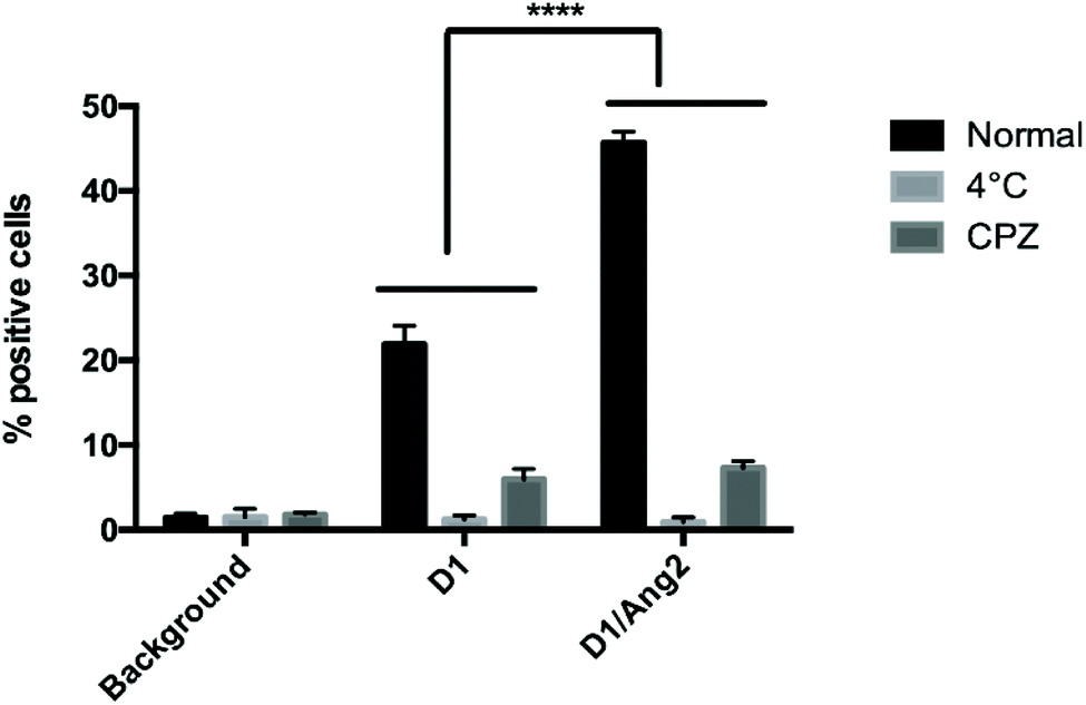 In Vivo Micro Computed Tomography Detection And Decrease In Amyloid Load By Using Multifunctionalized Gold Nanorods A Neurotheranostic Platform For Biomaterials Science Rsc Publishing Doi 10 1039 D0bm01825b