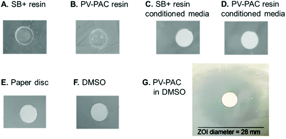 Synthesis And Antibacterial Activity Of Polymer Antibiotic Conjugates Incorporated Into A Resin Based Dental Adhesive Biomaterials Science Rsc Publishing Doi 10 1039 D0bm01910k
