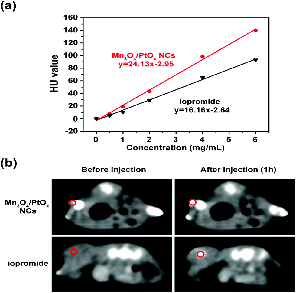 Surface Morphology And Payload Synergistically Caused An Enhancement Of The Longitudinal Relaxivity Of A Mn 3 O 4 Pto X Nanocomposite For Magnetic Re Biomaterials Science Rsc Publishing Doi 10 1039 D0bmc