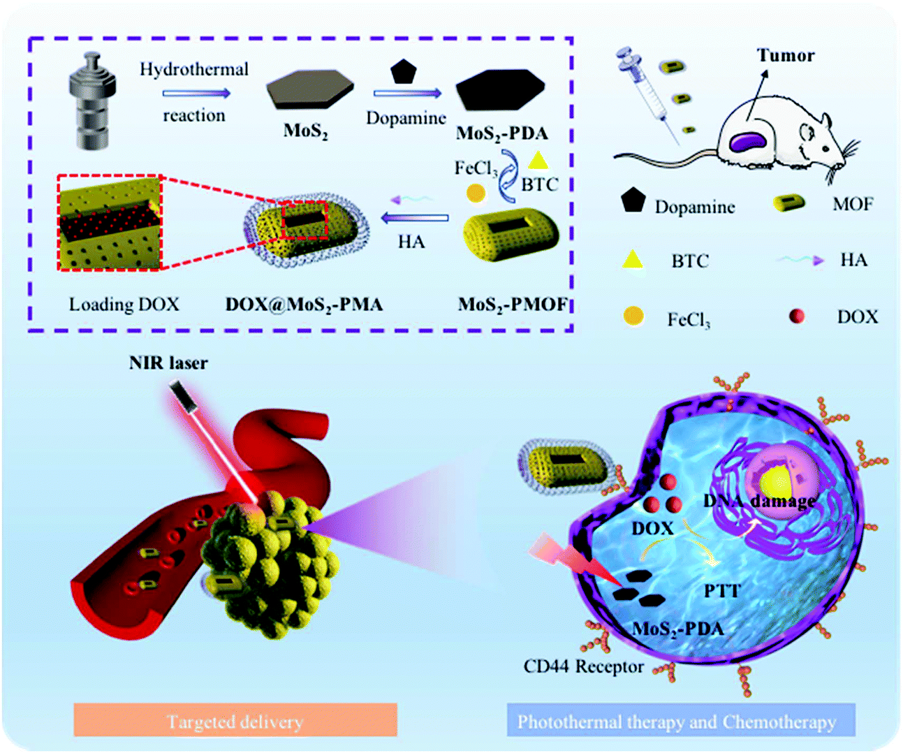 Coupling metal organic frameworks with molybdenum disulfide nanoflakes for  targeted cancer theranostics - Biomaterials Science (RSC Publishing)  DOI:10.1039/D0BM02012E