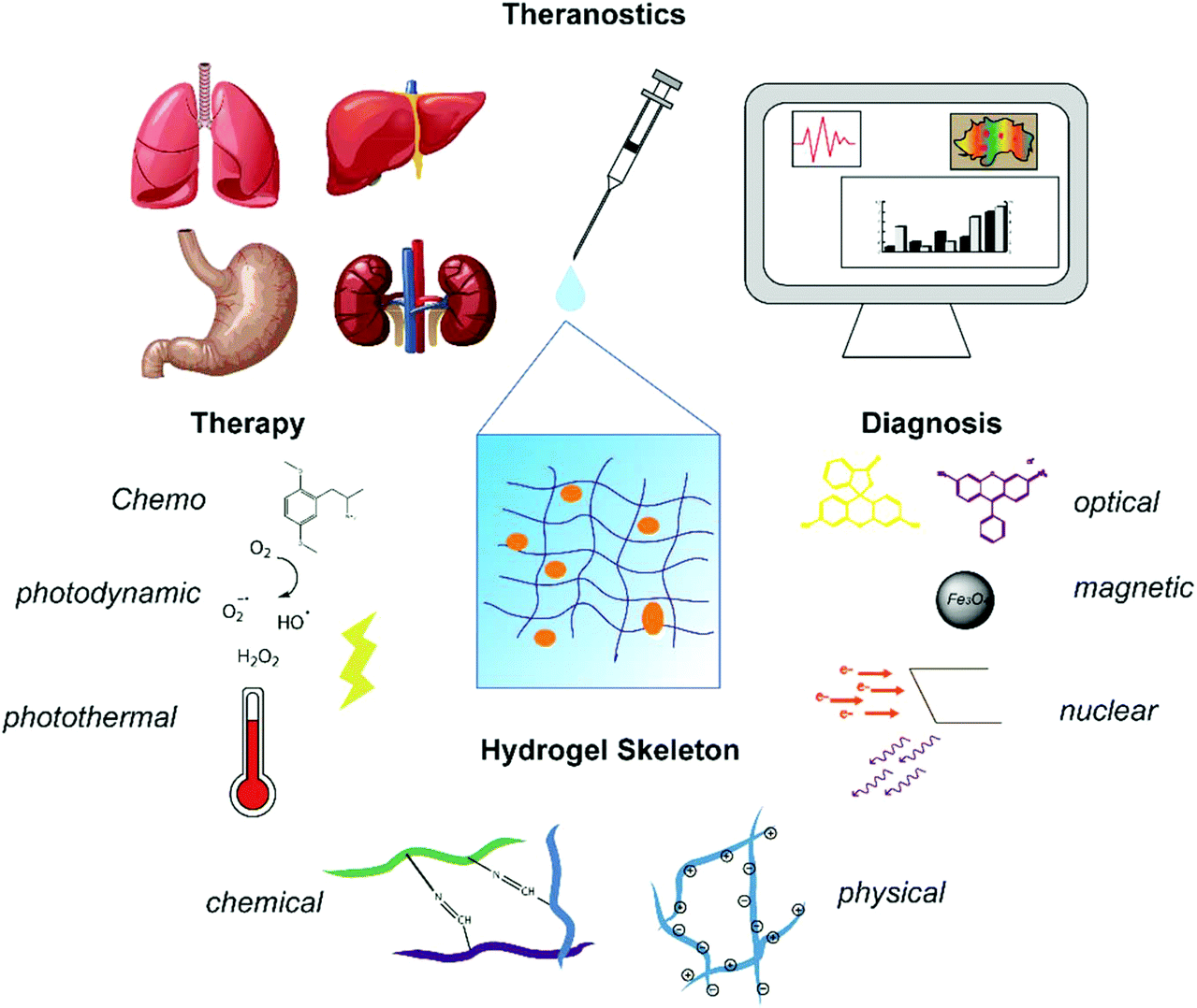 Cancer theranostic platforms based on injectable polymer hydrogels 