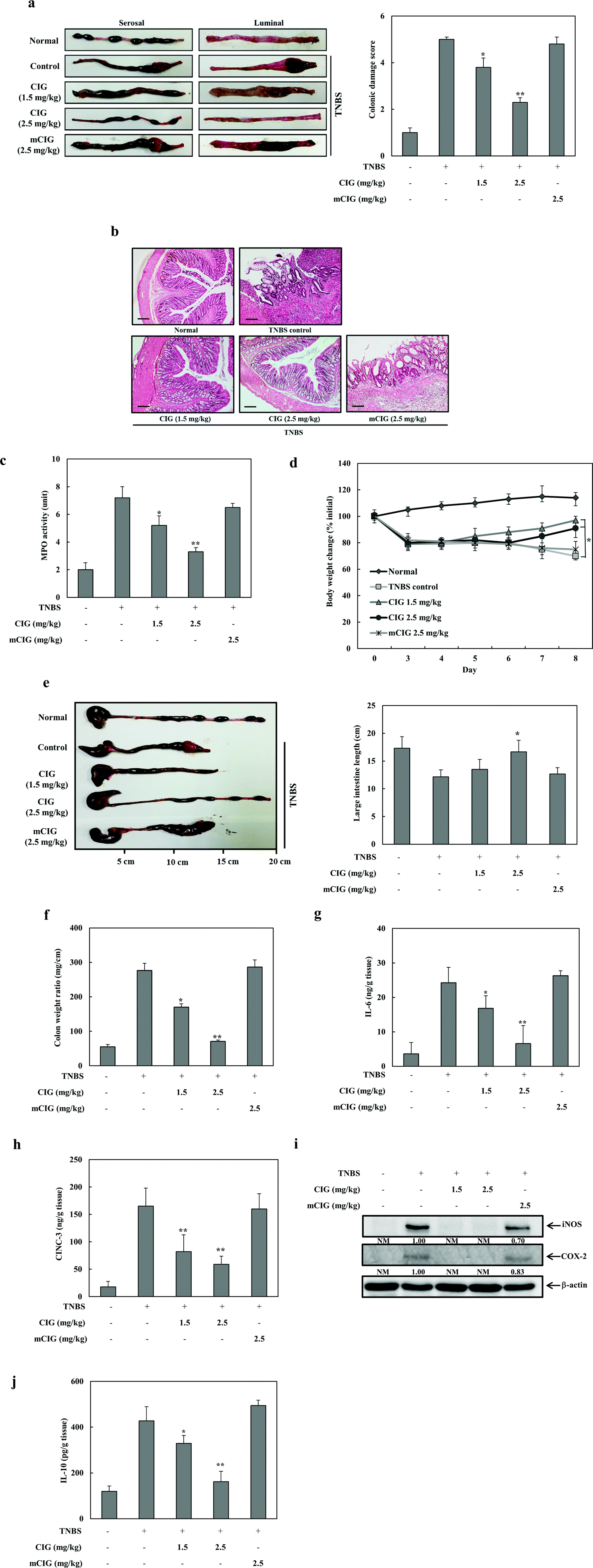 Design and evaluation of IKK-activated GSK3β inhibitory peptide as an  inflammation-responsive anti-colitic therapeutic - Biomaterials Science  (RSC Publishing) DOI:10.1039/D1BM00533B