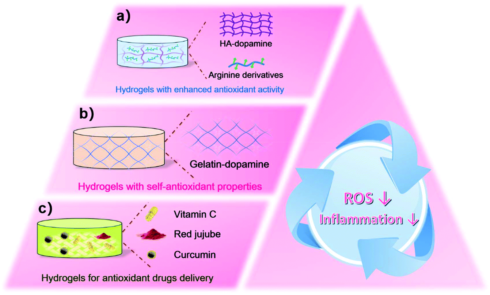 Anti-inflammation biomaterial platforms for chronic wound healing 