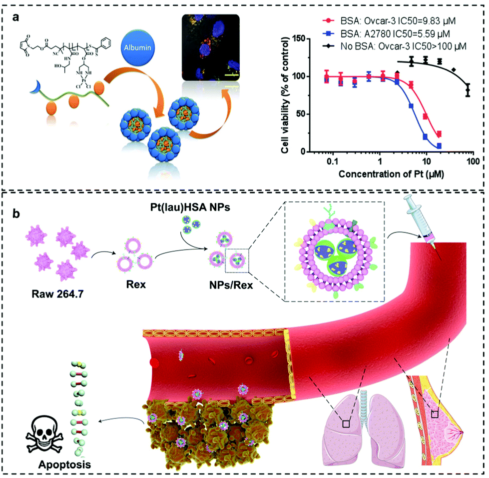 Platinum-based chemotherapy via nanocarriers and co-delivery of multiple  drugs - Biomaterials Science (RSC Publishing) DOI:/D1BM00879J