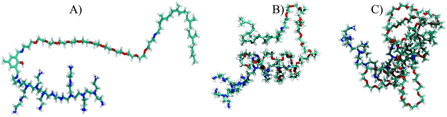 In silico study of PEI-PEG-squalene-dsDNA polyplex formation: the delicate  role of the PEG length in the binding of PEI to DNA - Biomaterials Science  (RSC Publishing) DOI:10.1039/D1BM00973G