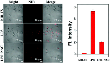 image file: d0cc07398a-f3.tif