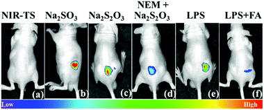 image file: d0cc07398a-f4.tif