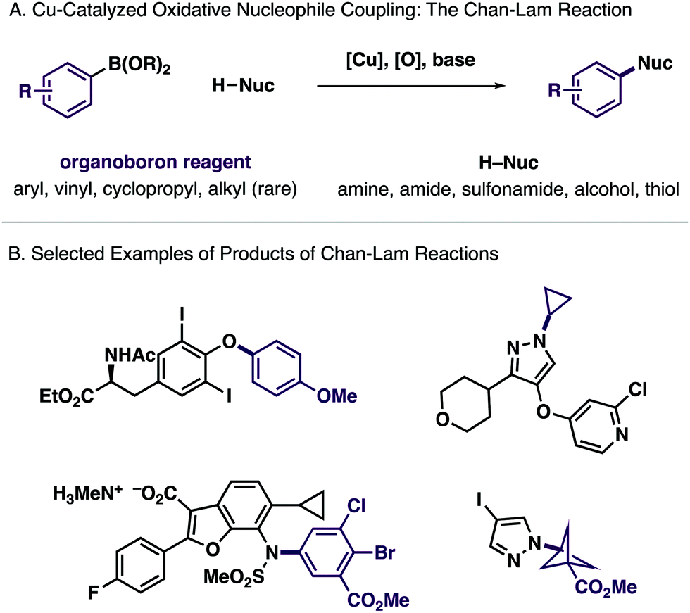 Oxidative cross-coupling processes inspired by the Chan–Lam reaction -  Chemical Communications (RSC Publishing) DOI:10.1039/D1CC00213A