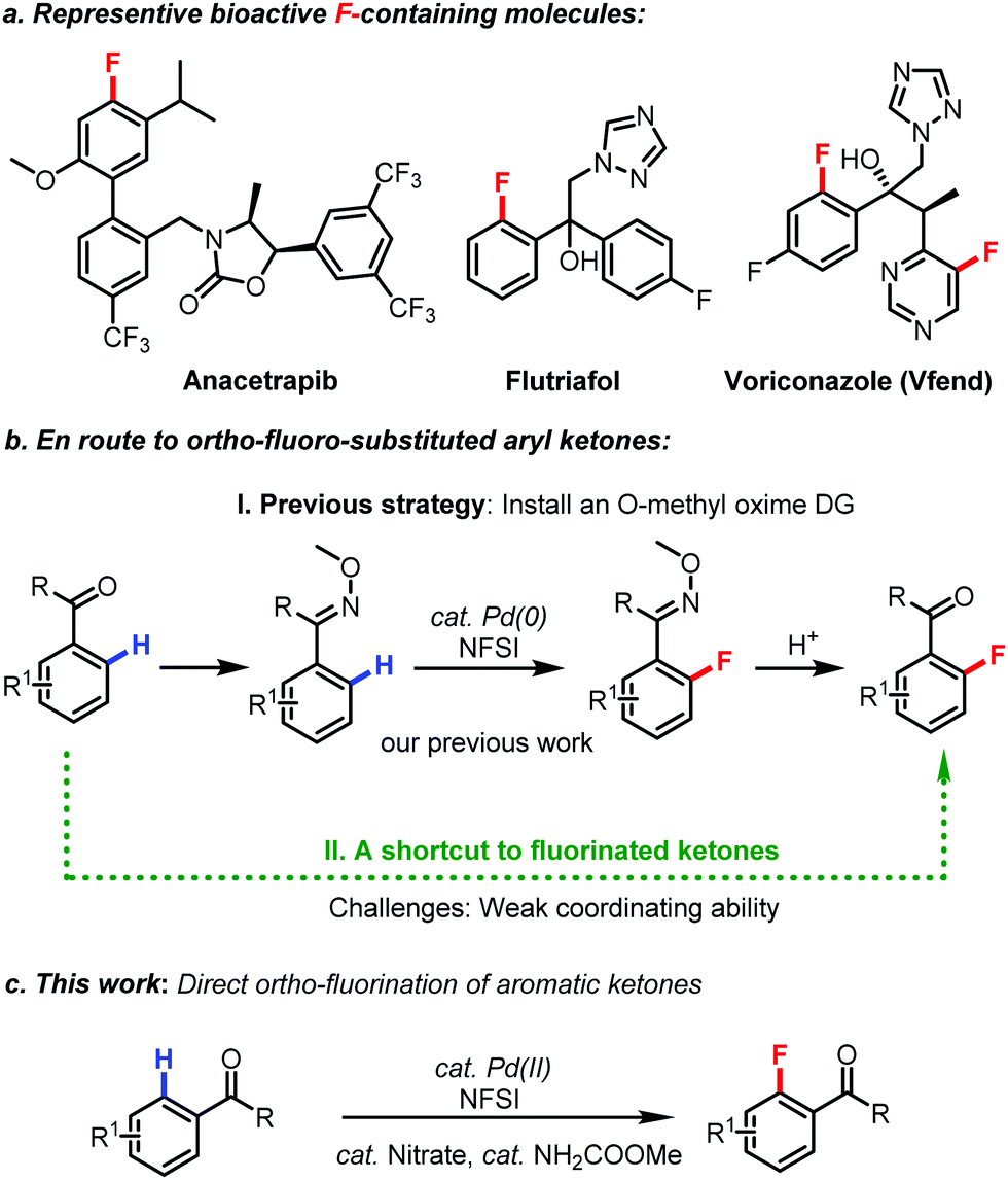 Pd Catalysed Direct C Sp 2 H Fluorination Of Aromatic Ketones Concise Access To Anacetrapib Chemical Communications Rsc Publishing Doi 10 1039 D1ccf