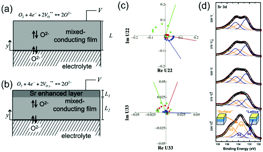 Interfacial processes in electrochemical energy systems
