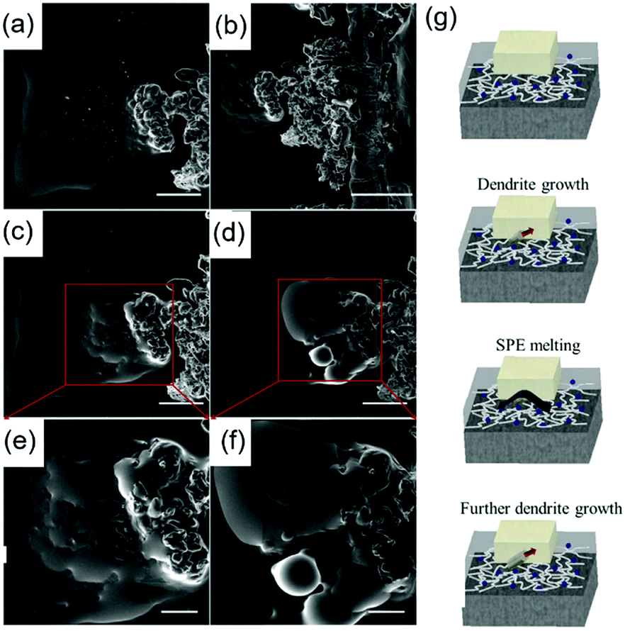 Interfacial processes in electrochemical energy systems - Chemical 