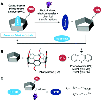image file: d1cc03221f-f1.tif