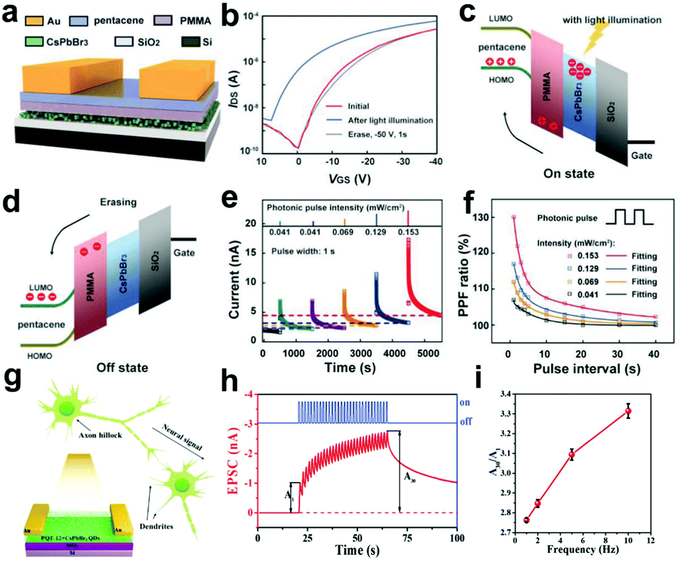Perovskite photodetectors and their application in