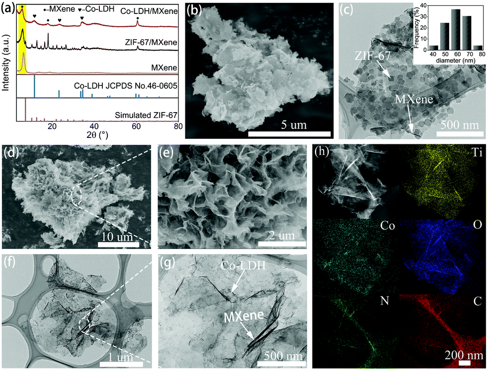 サイズ　０ Plasma-activated tightly bonded uniform metal-organic