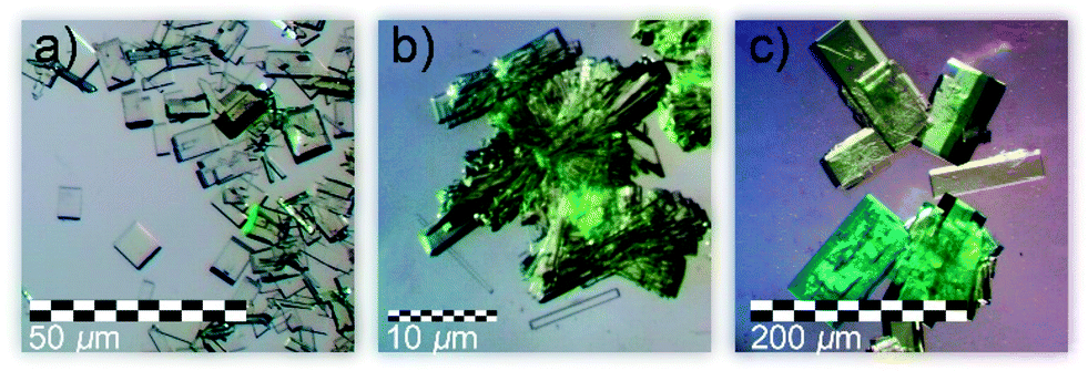 Crystal chemistry of the M 2+ [(UO 2 )(T 6+ O 4 ) 2 (H 2 O