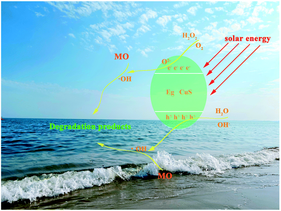Copper sulfide nanoparticles with potential bifunctional