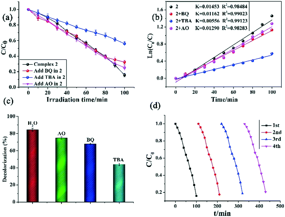 New Cd( ii ) coordination polymers bearing Y-shaped tricarboxylate