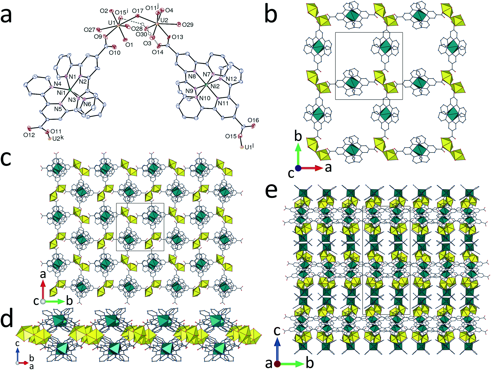 Uranyl ion complexes with 2,2′:6′,2′′-terpyridine-4′-carboxylate