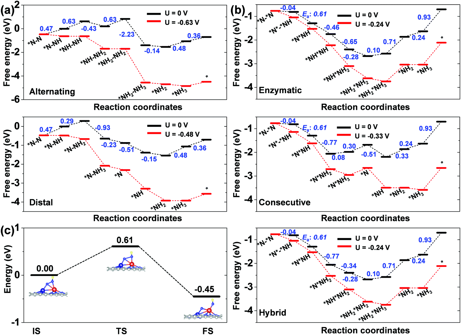 Electrocatalytic Nitrogen Reduction On The Transition Metal Dimer Anchored N Doped Graphene Performance Prediction And Synergetic Effect Physical Chemistry Chemical Physics Rsc Publishing Doi 10 1039 D0cpg