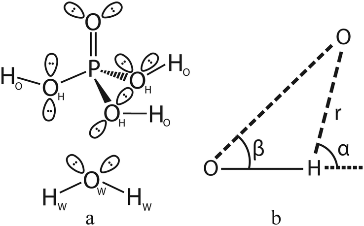 Insights Into The Hydrogen Bond Network Topology Of Phosphoric Acid And Water Systems Physical Chemistry Chemical Physics Rsc Publishing Doi 10 1039 D0cph