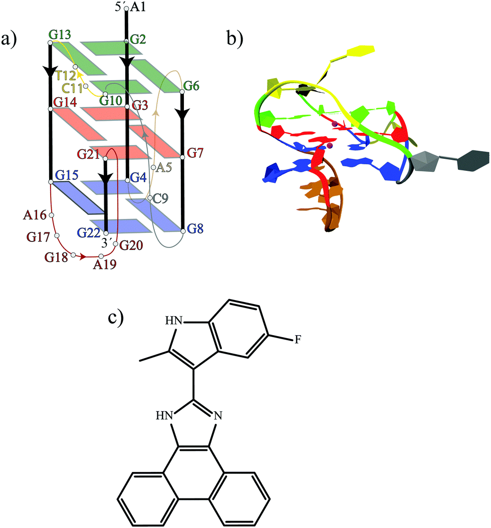 An In Silico Investigation Of The Binding Modes And Pathway Of Apto 253 On C Kit G Quadruplex Dna Physical Chemistry Chemical Physics Rsc Publishing Doi 10 1039 D0cph