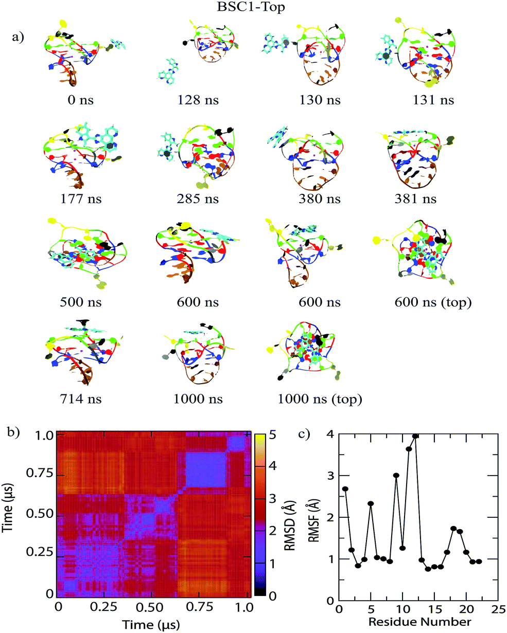 An In Silico Investigation Of The Binding Modes And Pathway Of Apto 253 On C Kit G Quadruplex Dna Physical Chemistry Chemical Physics Rsc Publishing Doi 10 1039 D0cph