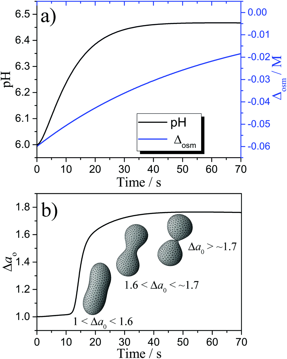 Shape Changes And Budding Of Giant Vesicles Induced By An Internal Chemical Trigger An Interplay Between Osmosis And Ph Change Physical Chemistry Chemical Physics Rsc Publishing Doi 10 1039 D0cph