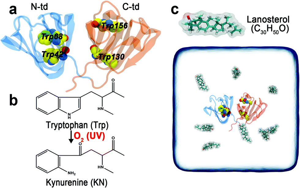 Lanosterol reduces the aggregation propensity of ultraviolet 